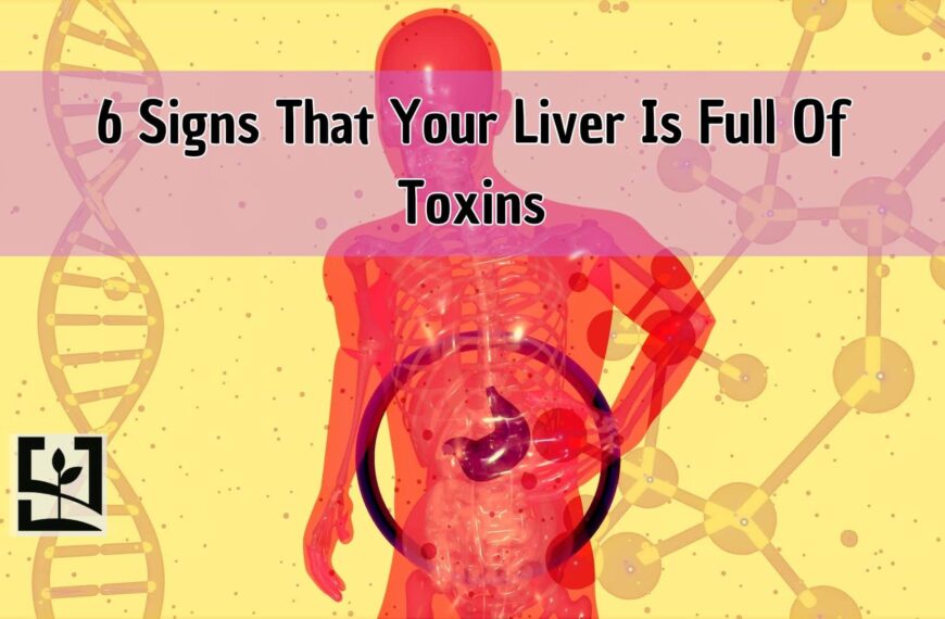 6 Signs That Your Liver Is Full Of Toxins