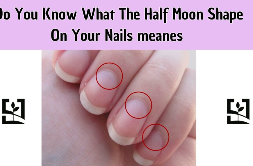 Do You Know What The Half Moon Shape On Your Nails Means The Answer Is More Important Than You Think