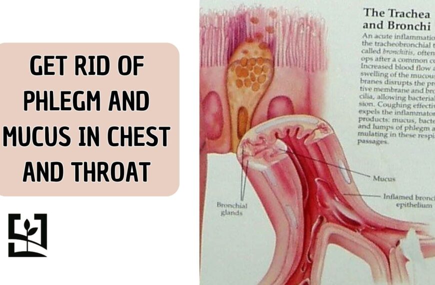 HOW TO GET RID OF PHLEGM AND MUCUS IN CHEST & THROAT (INSTANT RESULT)