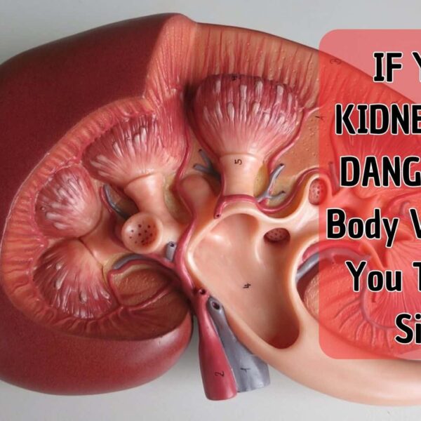 IF YOUR KIDNEY IS IN DANGER, The Body Will Give You These 7 Signs