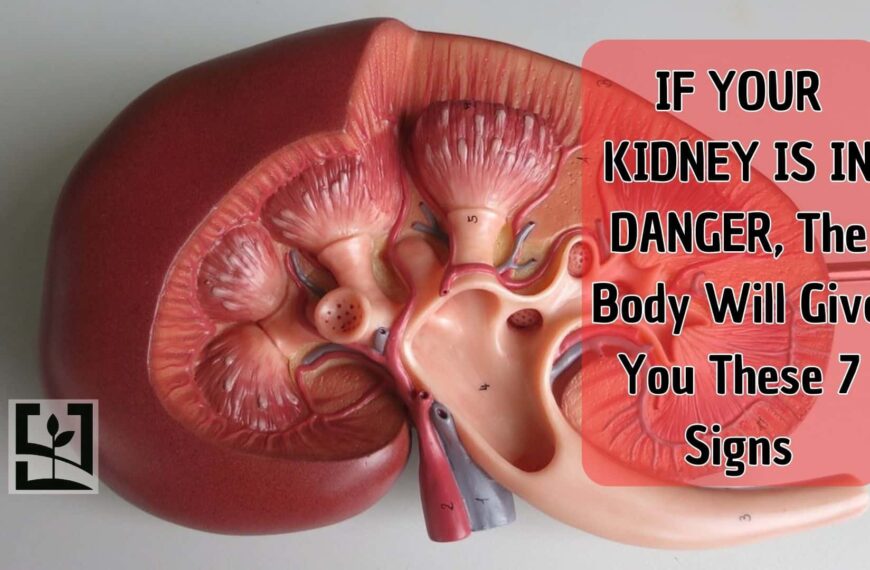 IF YOUR KIDNEY IS IN DANGER, The Body Will Give You These 7 Signs