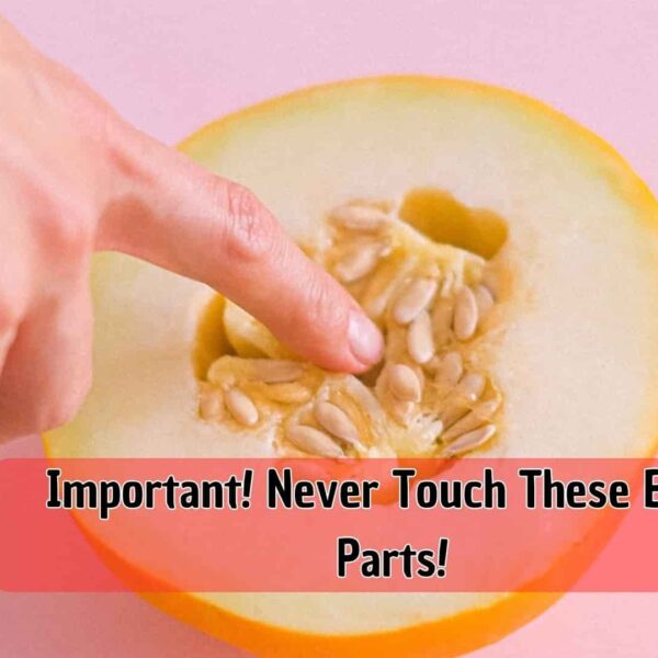 Important! Never Touch These Body Parts!