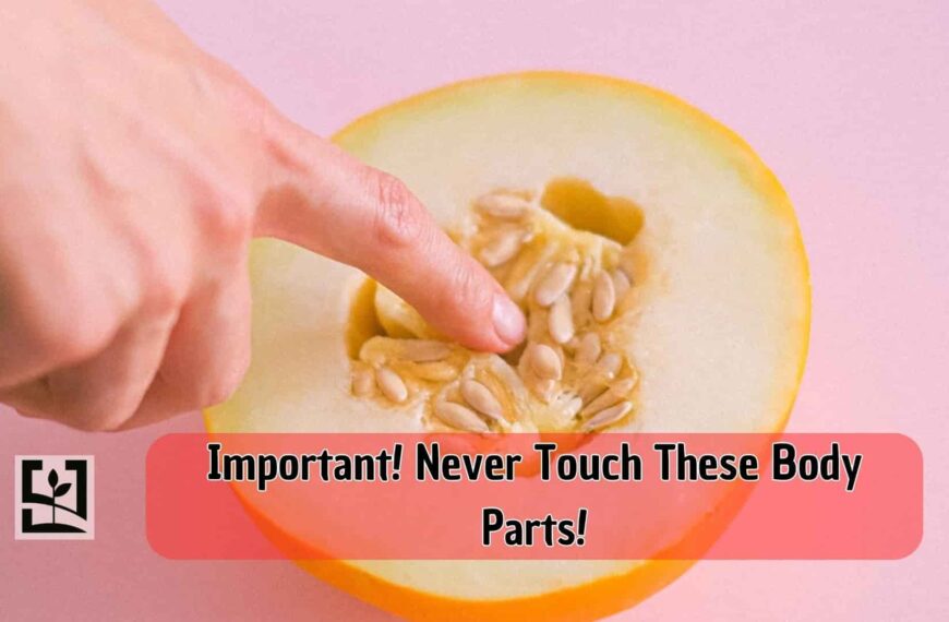 Important! Never Touch These Body Parts!