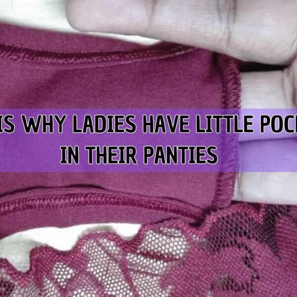 THIS IS WHY LADIES HAVE LITTLE POCKET IN THEIR PANTIES