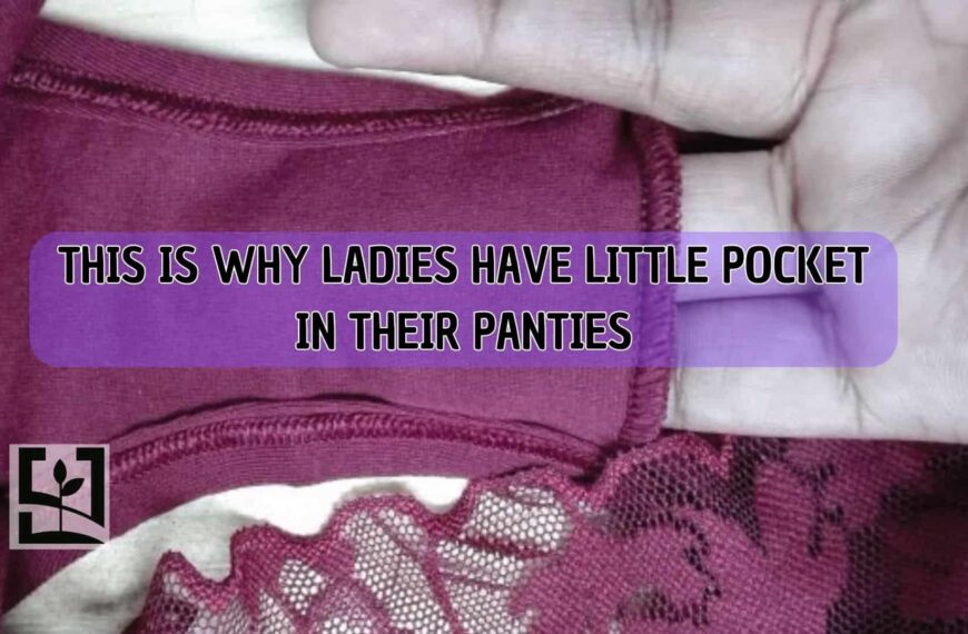 THIS IS WHY LADIES HAVE LITTLE POCKET IN THEIR PANTIES