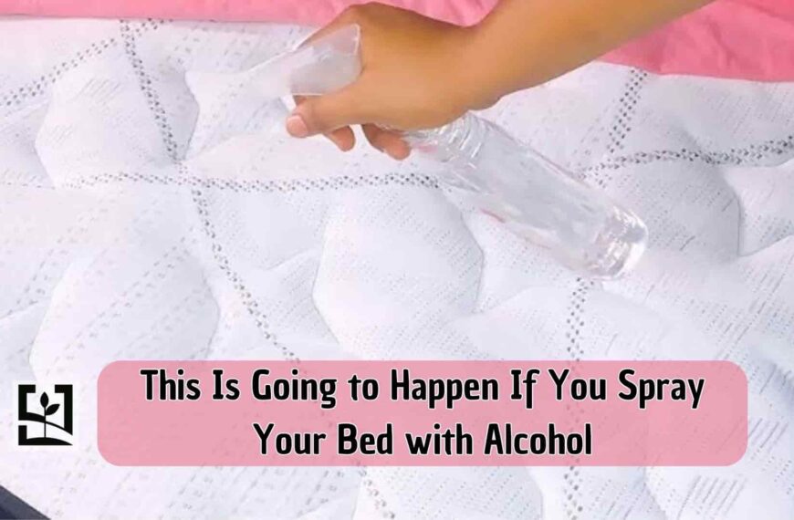 This Is Going to Happen If You Spray Your Bed with Alcohol