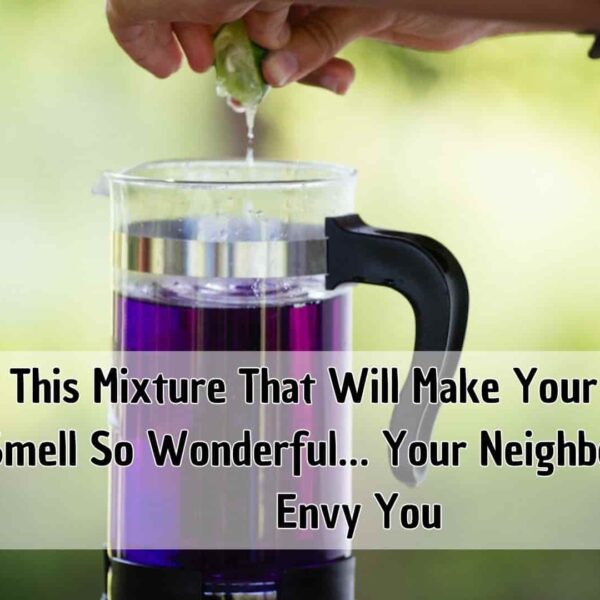 This Mixture That Will Make Your Home Smell So Wonderful… Your Neighbors Will Envy You