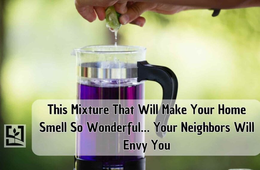 This Mixture That Will Make Your Home Smell So Wonderful… Your Neighbors Will Envy You