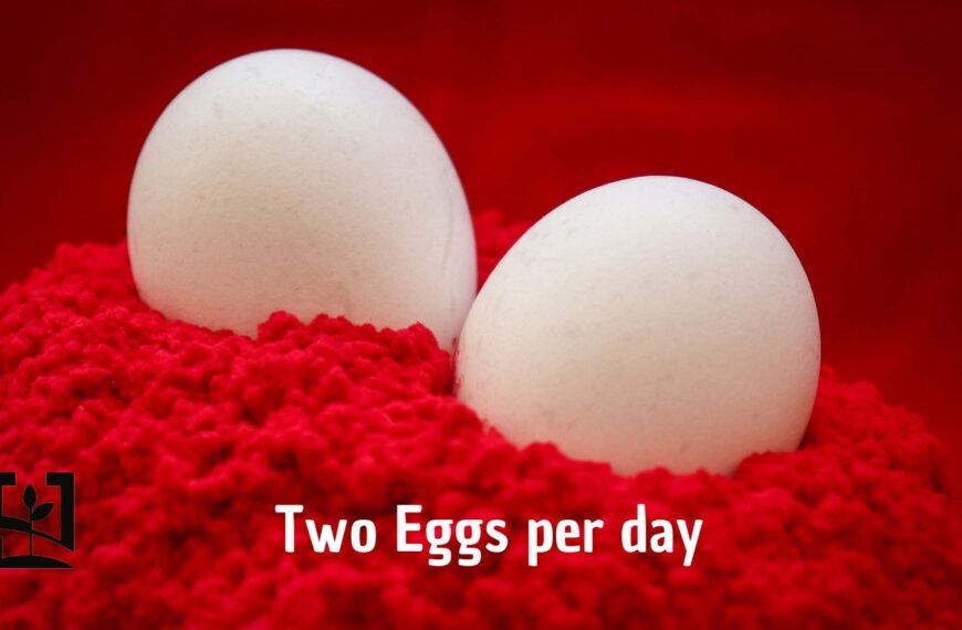 What Happens to Your Body When You Eat Two Eggs Per Day. I would never have believed it.